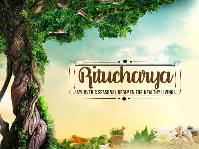 ritucharya2 Ritucharya: An Overview of Seasonal Regimen in Ayurveda by Dr Vikram