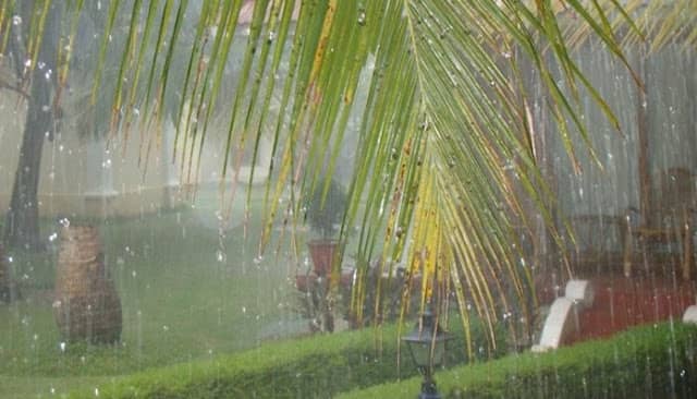 0 Happy Monsoon and the Lifestyle according to Ayurveda